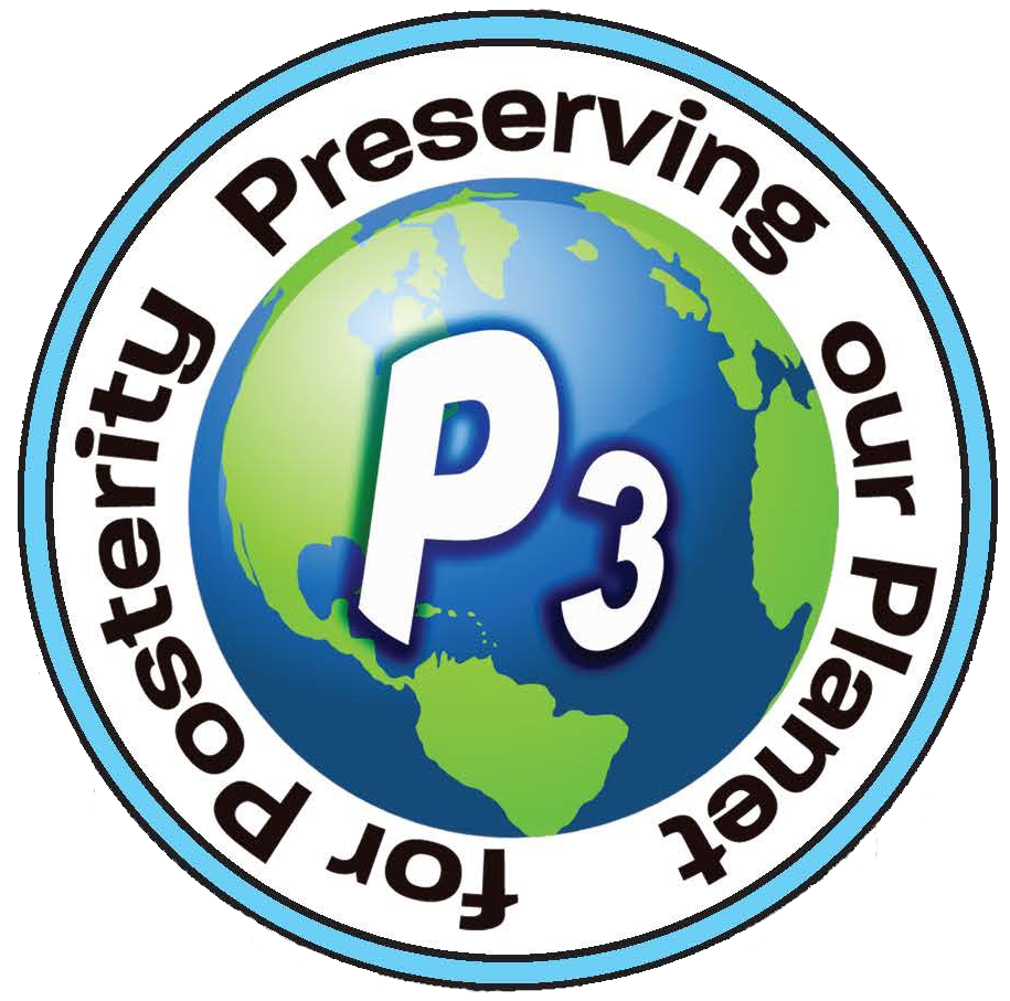 P3 Eco-Challenge logo 